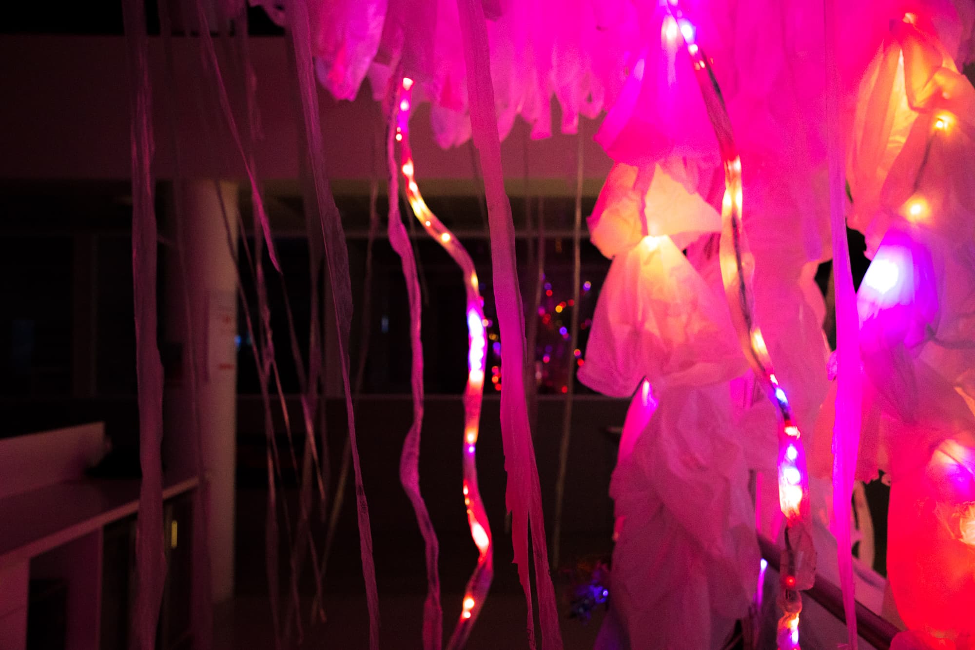 A tentacle close-up, and not even all 7 metres of it