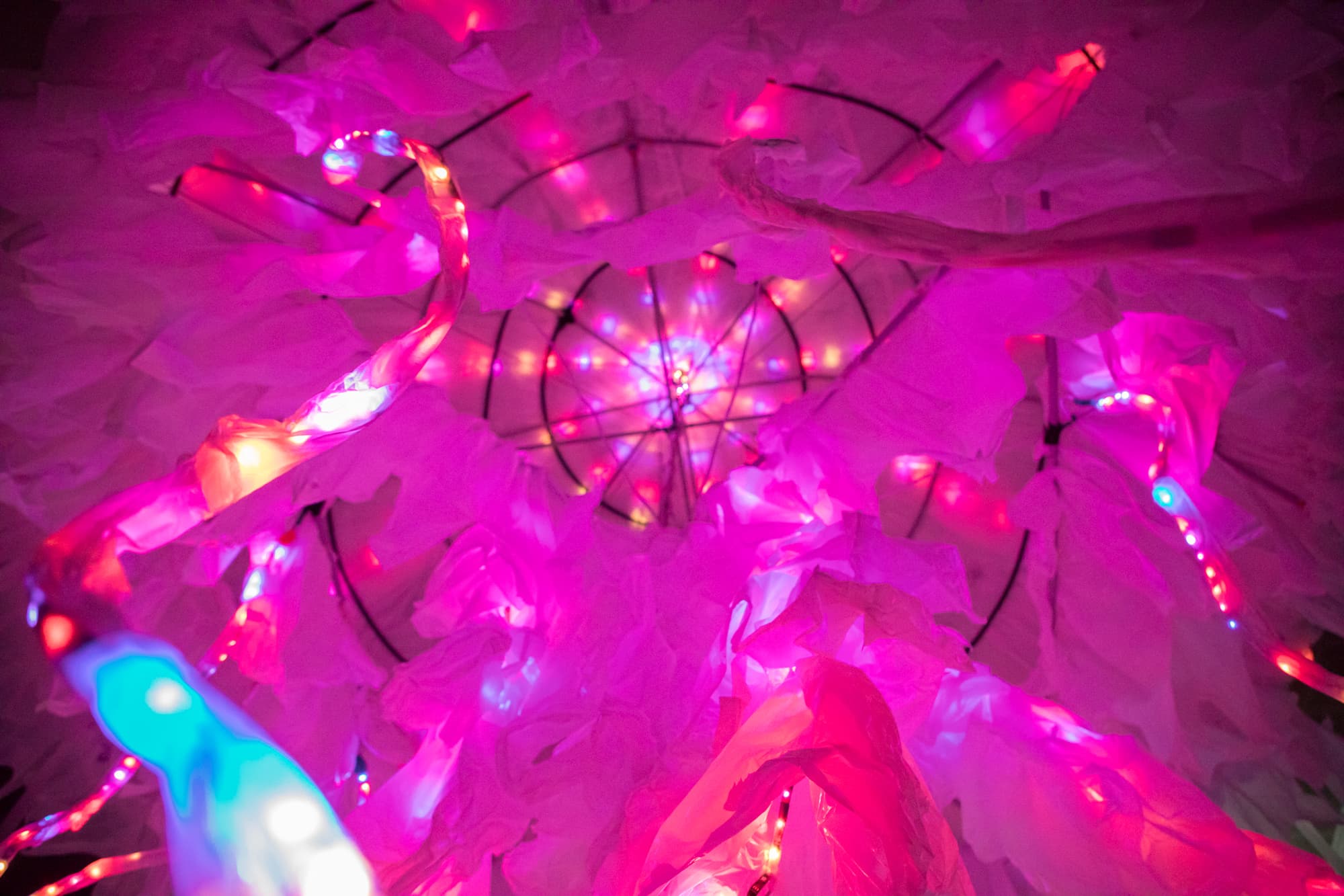 A sneak-peak of it's inner workings